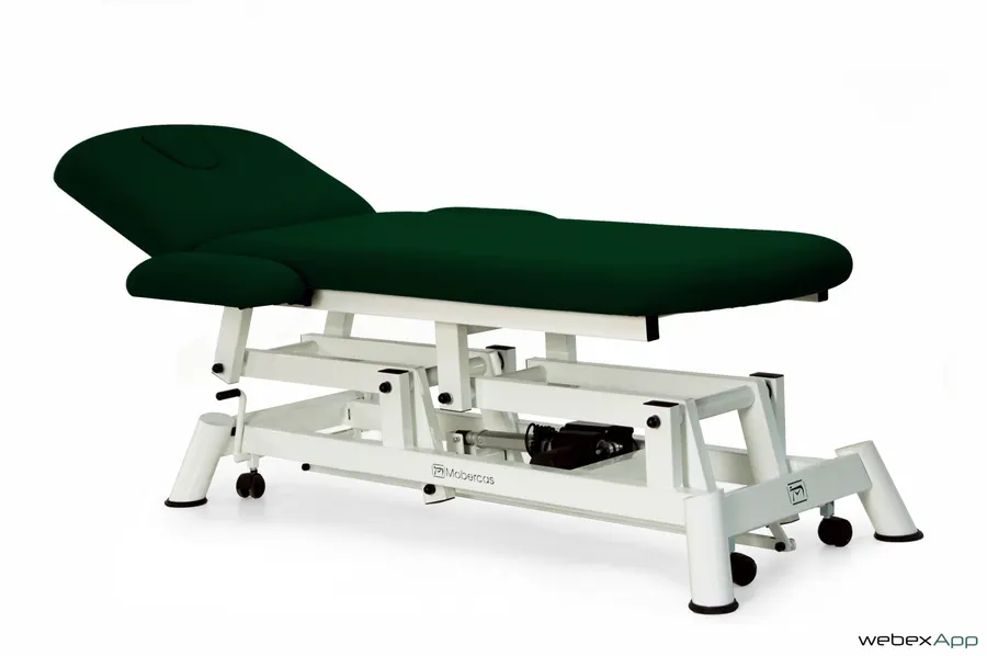 Table de massage électrique CE-2120-ABR